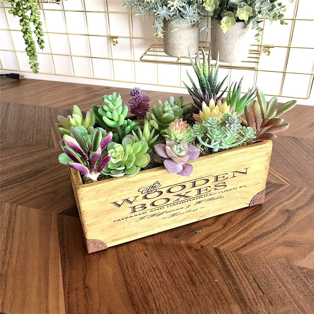 Artificial-Succulents-Plants-Flocking-Cheap-DIY-PVC-Wedding-Garden-Decoration-Flower-Accessories-For-Home-Indoor-Decoration-4