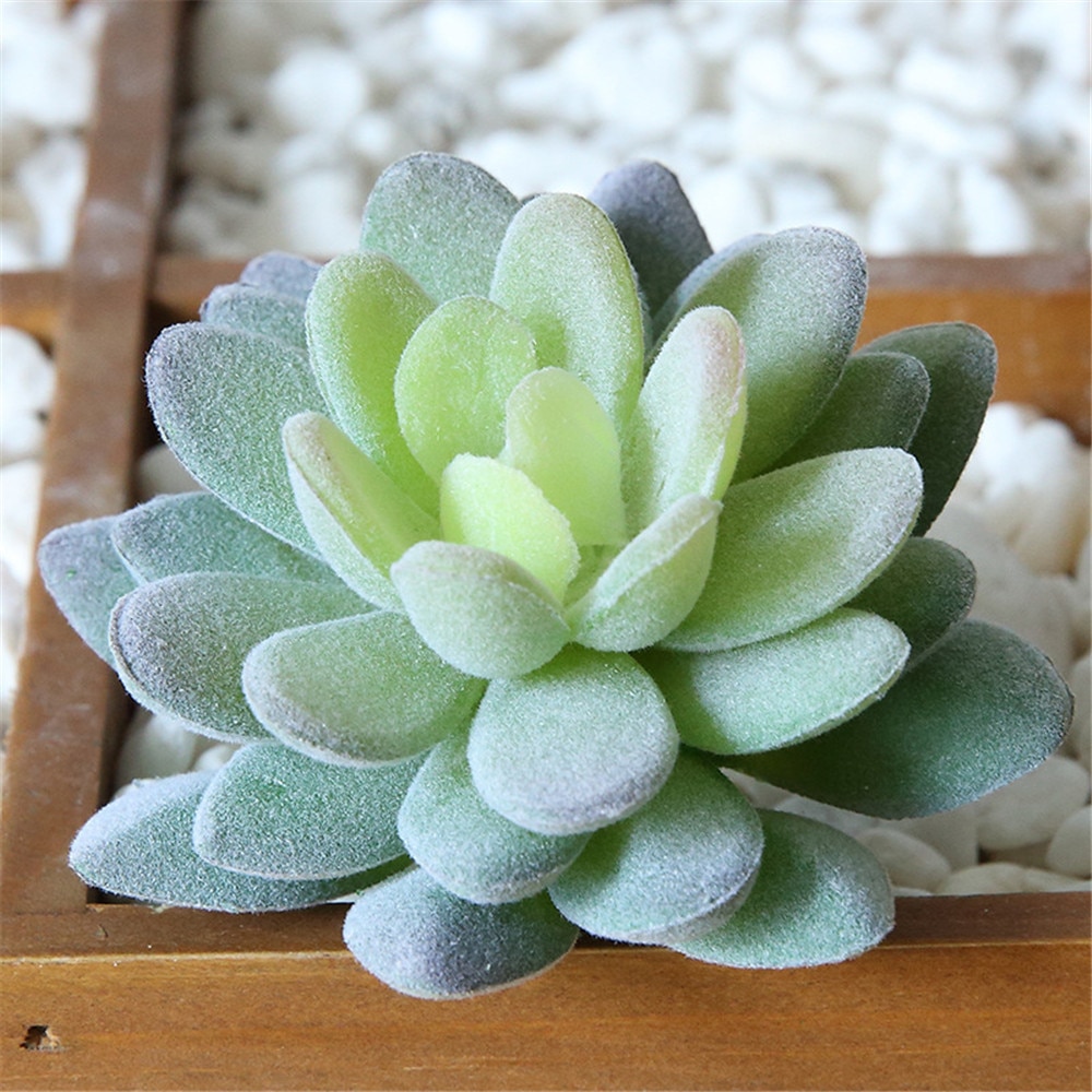 Artificial-Succulents-Plants-Flocking-Cheap-DIY-PVC-Wedding-Garden-Decoration-Flower-Accessories-For-Home-Indoor-Decoration-5